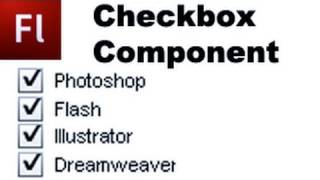 Flash Tutorial: The Checkbox Component -HD-