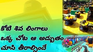 ఈ న్యూయర్ కి మా అదృష్టం ఇలా వచ్చింది.🤩🤩కోటి లింగాల గుడి /koti lingala temple /Induthoughts /vlogs