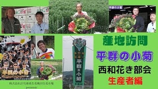 【梅田生花市場】産地訪問「平群の小菊」生産者編『繋ぐ』　 西和花き部会の小菊は 夏秋期 生産 日本一です！！