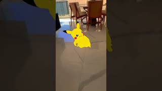 Galerinha olha quem apareceu na minha sala é o Pikachu