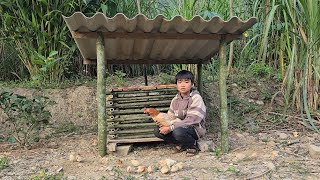 Poor boy _ Building a bamboo house for chickens | Life of an orphan boy