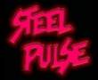 Steel pulse Drug squad