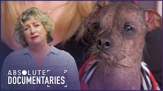 The World's Ugliest Dog Contest