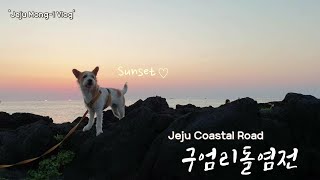 제주도견 몽이랑 제주살이 | 강아지 일몰산책 | 구엄리돌염전, 구엄포구 | Walking with the dog while watching the sunset