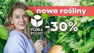 Nowe rośliny i przegląd promocji w Flora Point | wyprzedaż 30%