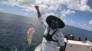 WHITSUNDAYS ISLANDS Airlie Beach Fishing