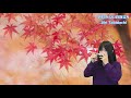 p339. 『いい日旅立ち』”iihi tabidachi” 複音ハーモニカ by 柳川優子 yuko yanagawa tremolo harmonica 1 000　複音口琴