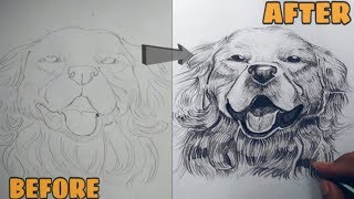 HOW TO DRAW & SHADE A DOG FACE || STEP BY STEP|| BY ART LID ||