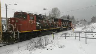 CN Local and freight trains in and around Rimouski - November 2021