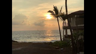 See Steffen is live! Kona Hawai’i sunset 🌅🐙🐋🌋🤙🦜