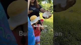 Buko kayo jan