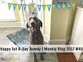 Rowdy's 1st Birthday | Weekly Vlog 2017 #40 | MsGoldgirl