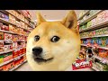 Skittles meme Doge-Meme mentom