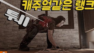 랭주얼 모음 - 레인보우식스 시즈 솔랭