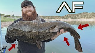 Personal Best Monster Arizona Flathead Catfish!!! (Will It Pass 40lbs?)