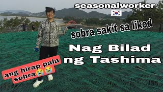 Tashima | Bibilad kami ng tashima #seasonalworker #factoryworkers