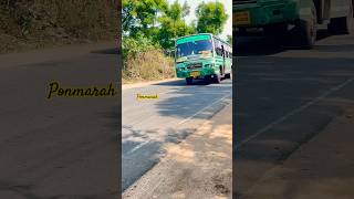 Town bus🆚TNSTC #tnbus #tnstc #bus #hornsound #trendingshorts #feedshorts #rajapalayam #setc #mdu