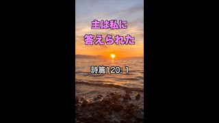 苦しい時の祈りは聞かれる！一発であなたを元気にする！聖書の言葉シリーズ【111】#Shorts #聖書 #元気 #希望