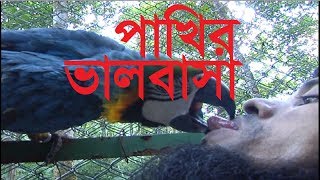 সিলেটে  দেশের তৃতীয় বৃহৎ চিড়িয়াখানা ঘুরে আসুন