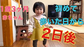 １歳３ヶ月　赤ちゃん　初歩きから２日後