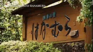 【You more 南小国】小田温泉　四季の里　はなむら/SHIKINOSATO HANAMURA