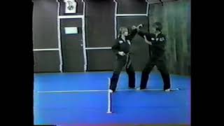 American Kenpo Shield and Hammer extension