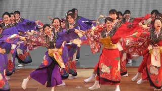 百物語　2017　籠女　スーパーよさこい　2017　代々木公園ステージ