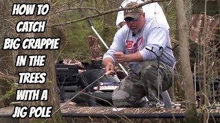 HOW TO CATCH BIG CRAPPIE IN THE TREES WITH A JIG POLE