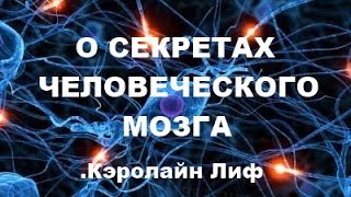 О СЕКРЕТАХ ЧЕЛОВЕЧЕСКОГО МОЗГА...Кэролайн Лиф