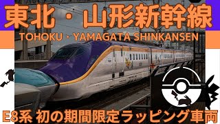 【東北・山形新幹線】期間限定で運行開始！E8系新幹線初のラッピング仕様車とその他東日本の新幹線の様子を追う！in 大宮 \u0026 東京