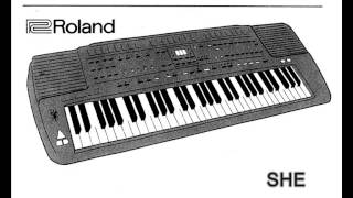 Roland E-66 demo (tone \u0026 style) – 14 short songs