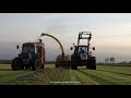 grass silage steyr 4105 taarup fendt farmer 310 2021