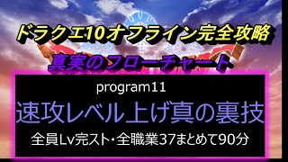 ドラクエ10オフライン「真のフローチャート」program11速攻レベル上げ真の裏技！