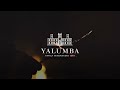 yalumba the virgilus viognier 2020