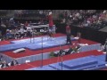 artistic gymnastics 2015 us national championships sr men s finals hd