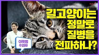 [닥튜버] 길고양이는 정말로 질병을 전파하나?-이학범 수의사