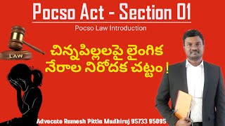 What is pocso act?  #pocsoact #pocsocase #pocsointelugu #law #pocsosection1  #rameshpittla #law