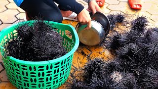 Vietnam sokak yemekleri  - Kara Deniz Kestanesi Bıldırcın Yumurtası Barbekü deni