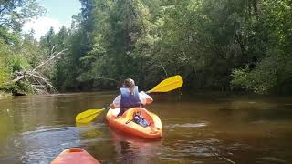 Kayaking Cold Water Creek Florida 8/20/2022