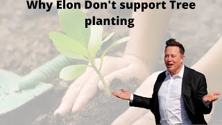 Why Elon Musk Don't support tree plantation to stop climate change