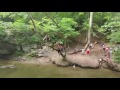 Cliff Jumping -- DEVILS POOL, PA