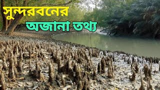 সুন্দরবনের অজানা তথ্য,অজানা ইতিহাস