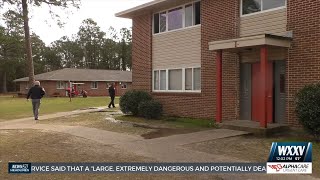 Two die in overnight fire at William Bell Apartments in Gulfport