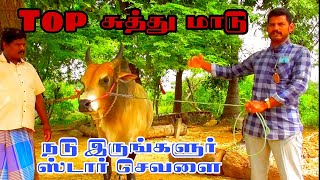 நடு இருங்களுர் ஸ்டார் செவளை நேர்காணல் || Jallikattu Documentary 001 || Star Sevalai