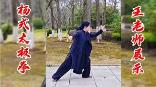 王小芳老师展示杨式太极拳 单鞭 提手上势 白鹤亮翅 搂膝拗步