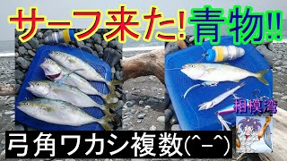 青物釣りサーフでワカシ!(^^) 自作の弓角でワカシが複数Hit!!。フローティングトレーラーも自作です(^^;) 2023年6月下旬in相模湾サーフ