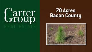 70 acres Bacon