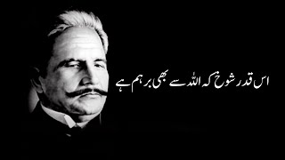 JWAB E SHIKWA BY ALLAMA IQBAL | Urdu Lyrics  جواب شکوہ | Tum Or Mein  Voice of Iqbal