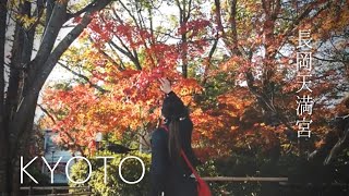 【暮らしvlog】京都 おすすめスポット | 長岡天満宮の紅葉 | HSPと才能 | 感動する為に生きる