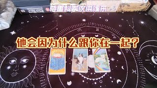 [tarot]大眾占卜 | 他會因為什麼喜歡你